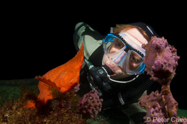 Australia Diving Galleries
