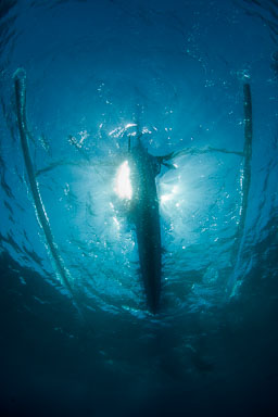 Travel Galleries